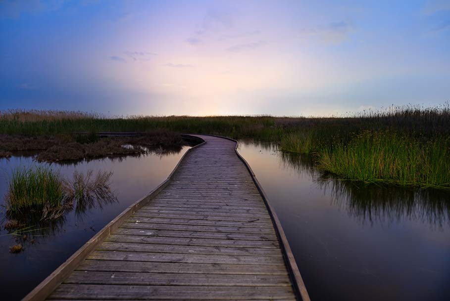  Estuary Boardwalk